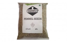 Farmup Fennel Seeds   Pack  100 grams